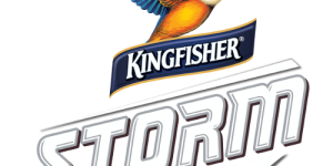 Kingfisher Storm Logo